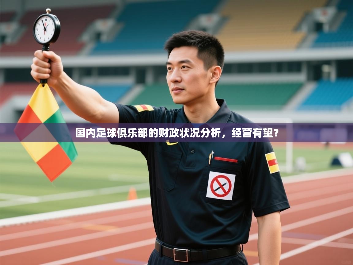 开云体育入口邀请码-国内足球俱乐部的财政状况分析，经营有望？